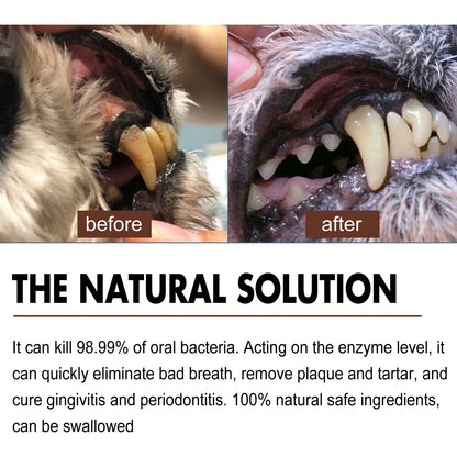 Dental Cleaning & Tartar Removal for Dogs - Pawsitive Cuddles