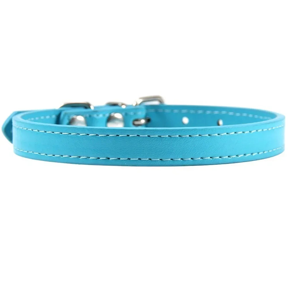 Colorful Leather Puppy & Cat Collar - Pawsitive Cuddles