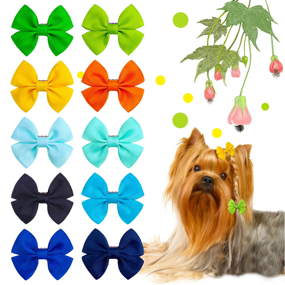 10pcs Dog Bows – Cute Hair Accessories for Small Dogs & Grooming