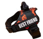 New Dog Harness High Quality Nylon Adjustable - Pawsitive Cuddles