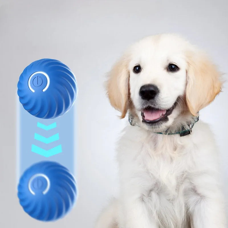 Automatic Pet Toy Ball – USB Charging, Rotating & Jumping Interactive Chew Toy for Dogs - Pawsitive Cuddles