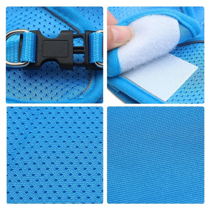 Reflective No-Pull Pet Harness & Leash Set - Pawsitive Cuddles