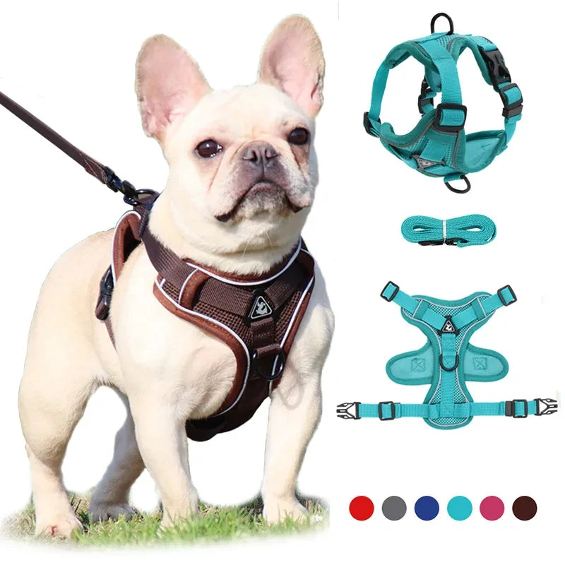 Reflective Pet Harness & Leash Set - Pawsitive Cuddles
