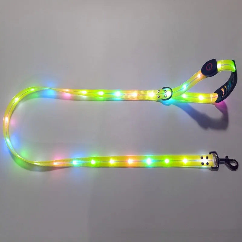 Pet LED Light UP Leash USB Rechargeable - Pawsitive Cuddles