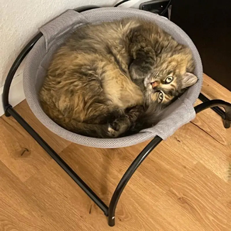 Cat & Dog Hammock Bed - Pawsitive Cuddles
