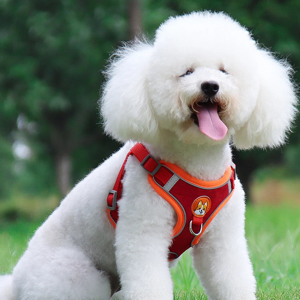 No-Pull Pet Dog Harness & Leash Set - Pawsitive Cuddles