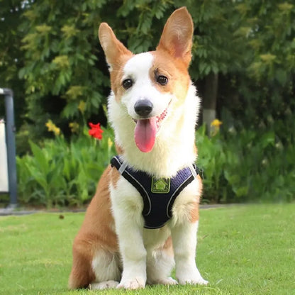 Reflective No-Pull Pet Harness & Leash Set - Pawsitive Cuddles
