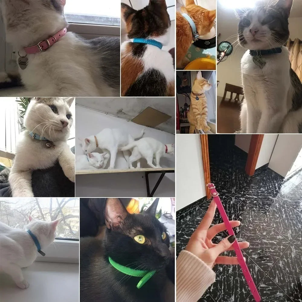 Colorful Leather Puppy & Cat Collar - Pawsitive Cuddles