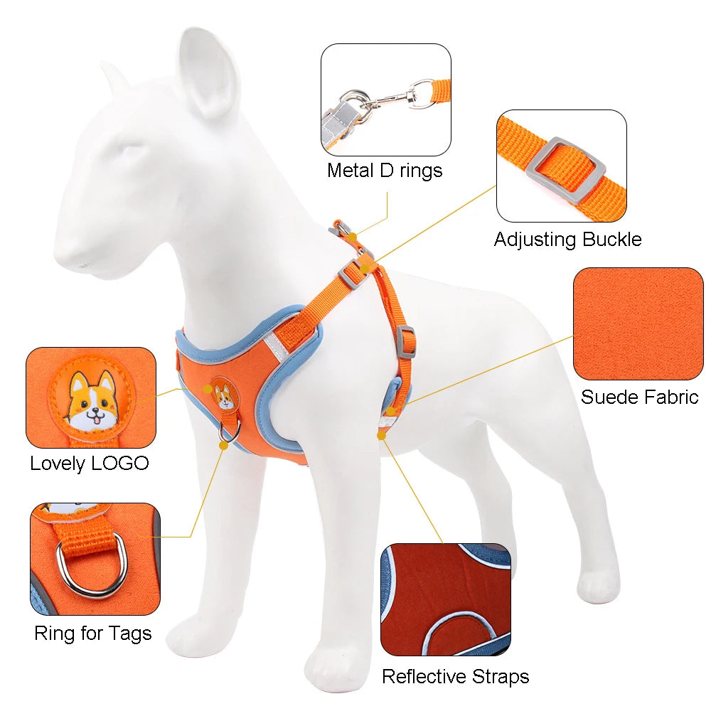 No-Pull Pet Dog Harness & Leash Set - Pawsitive Cuddles