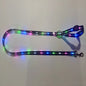 Pet LED Light UP Leash USB Rechargeable - Pawsitive Cuddles