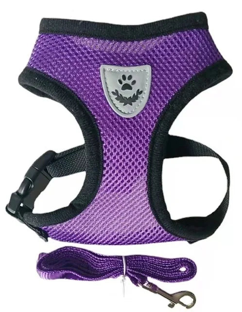 Breathable & Reflective Vest for Small Dogs & Cats - Pawsitive Cuddles