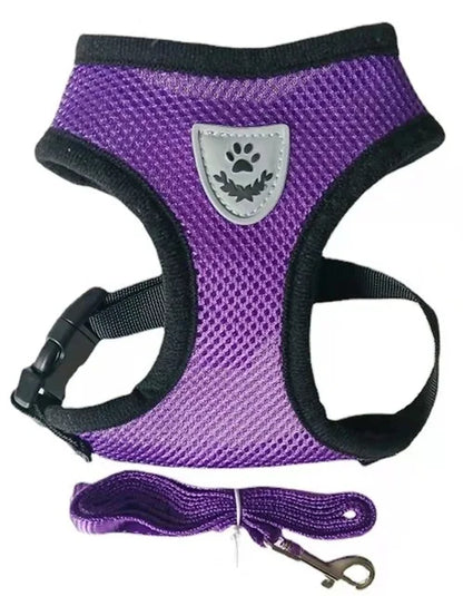 Breathable & Reflective Vest for Small Dogs & Cats - Pawsitive Cuddles