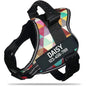 New Dog Harness High Quality Nylon Adjustable - Pawsitive Cuddles