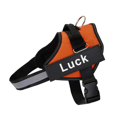 Custom Reflective No-Pull Dog Harness - Pawsitive Cuddles