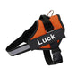 Custom Reflective No-Pull Dog Harness - Pawsitive Cuddles