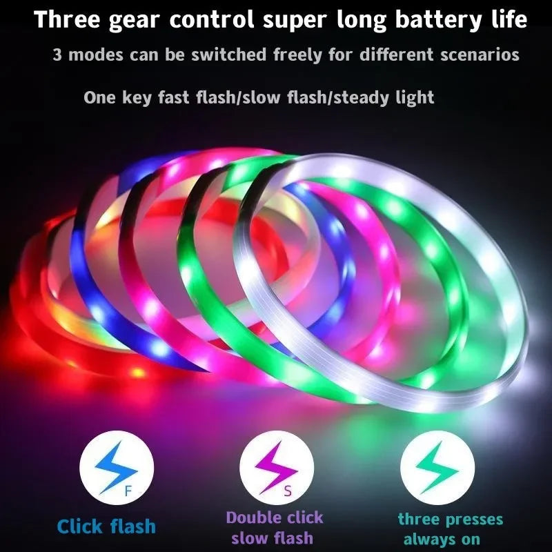 LED Luminous Dog Colla - Pawsitive Cuddles