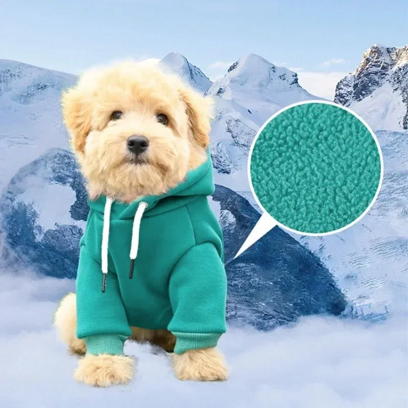 Warm Pet Sweatshirt for Small & Medium Dogs - Pawsitive Cuddles