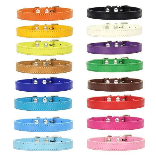 Colorful Leather Puppy & Cat Collar - Pawsitive Cuddles