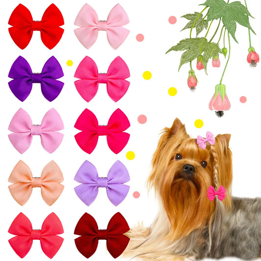 10pcs Dog Bows – Cute Hair Accessories for Small Dogs & Grooming