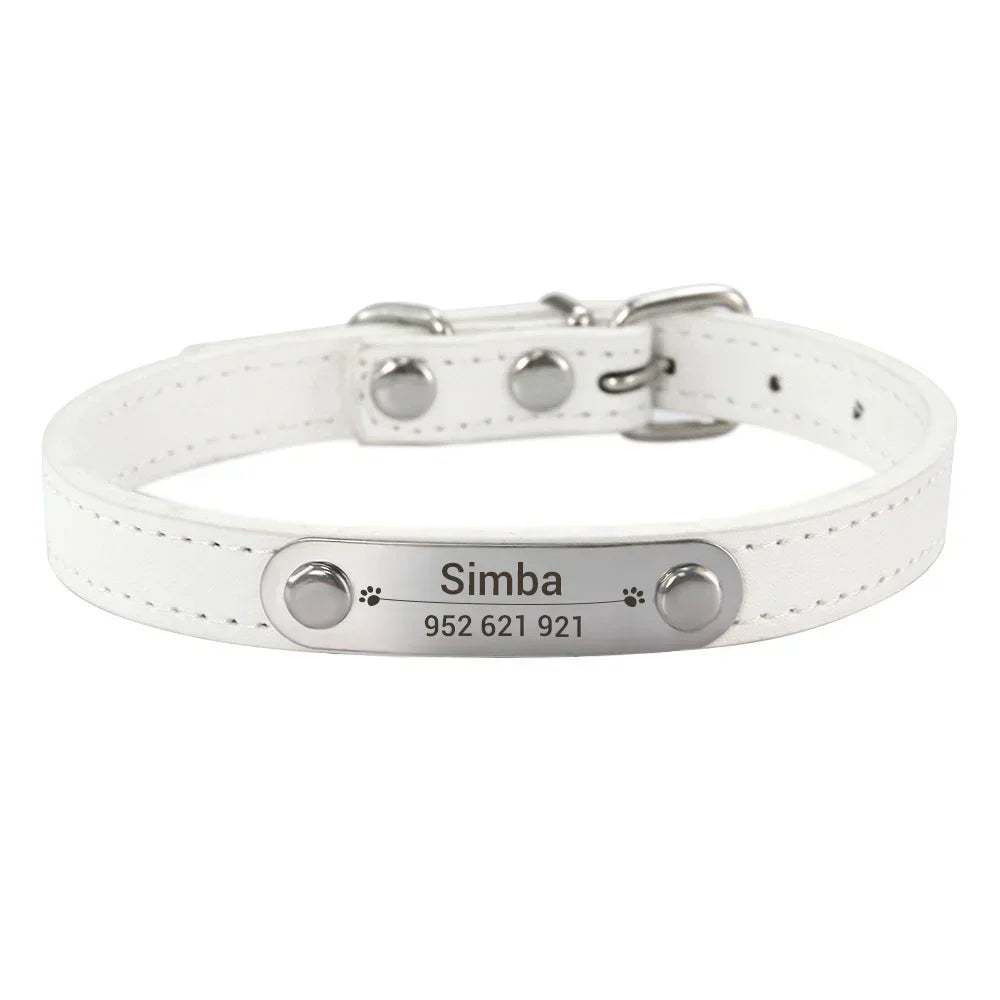 Personalized Dog Collar Name Carved ID - Pawsitive Cuddles
