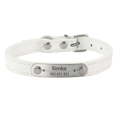 Personalized Dog Collar Name Carved ID - Pawsitive Cuddles