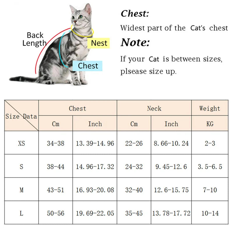 Fashion Outdoor Walking Gear for Small Dogs, Cats, - Pawsitive Cuddles