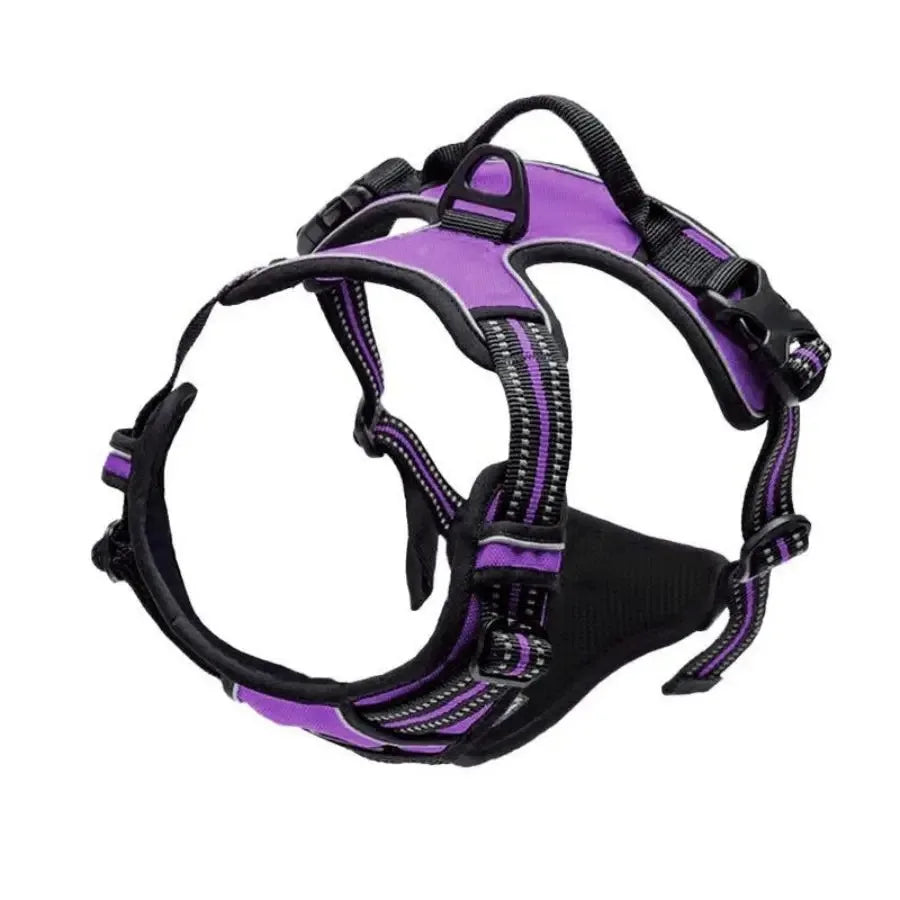 Dog Collar, Harness & Leash Set - Pawsitive Cuddles