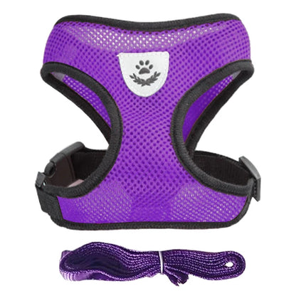 **Cat & Dog Harness Vest – Adjustable Mesh Walking Lead Leash for Small/Medium Pets** - Pawsitive Cuddles