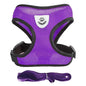 **Cat & Dog Harness Vest – Adjustable Mesh Walking Lead Leash for Small/Medium Pets** - Pawsitive Cuddles