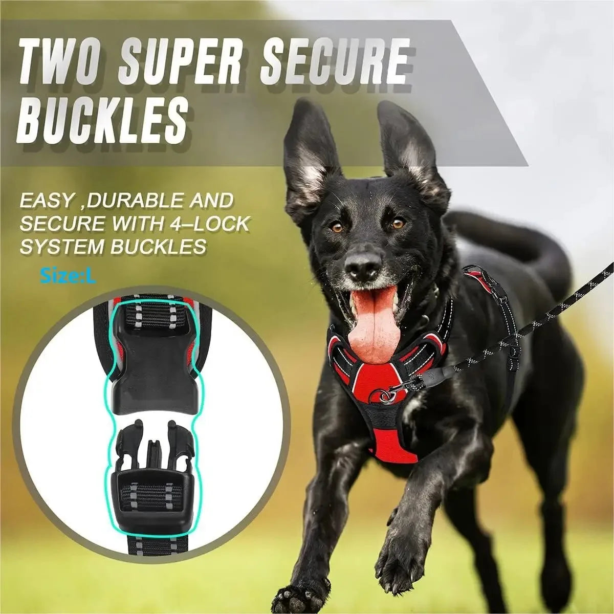 Dog Collar, Harness & Leash Set - Pawsitive Cuddles