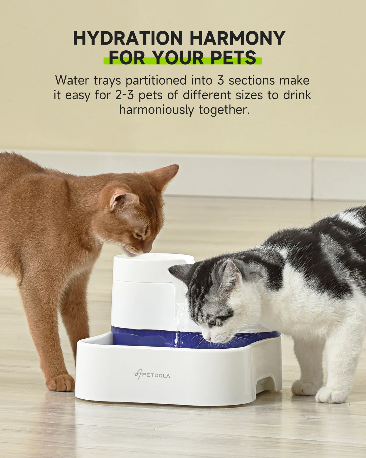 Wireless Pump Pet Water Dispenser - Pawsitive Cuddles