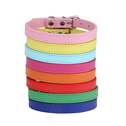 Colorful Leather Puppy & Cat Collar - Pawsitive Cuddles