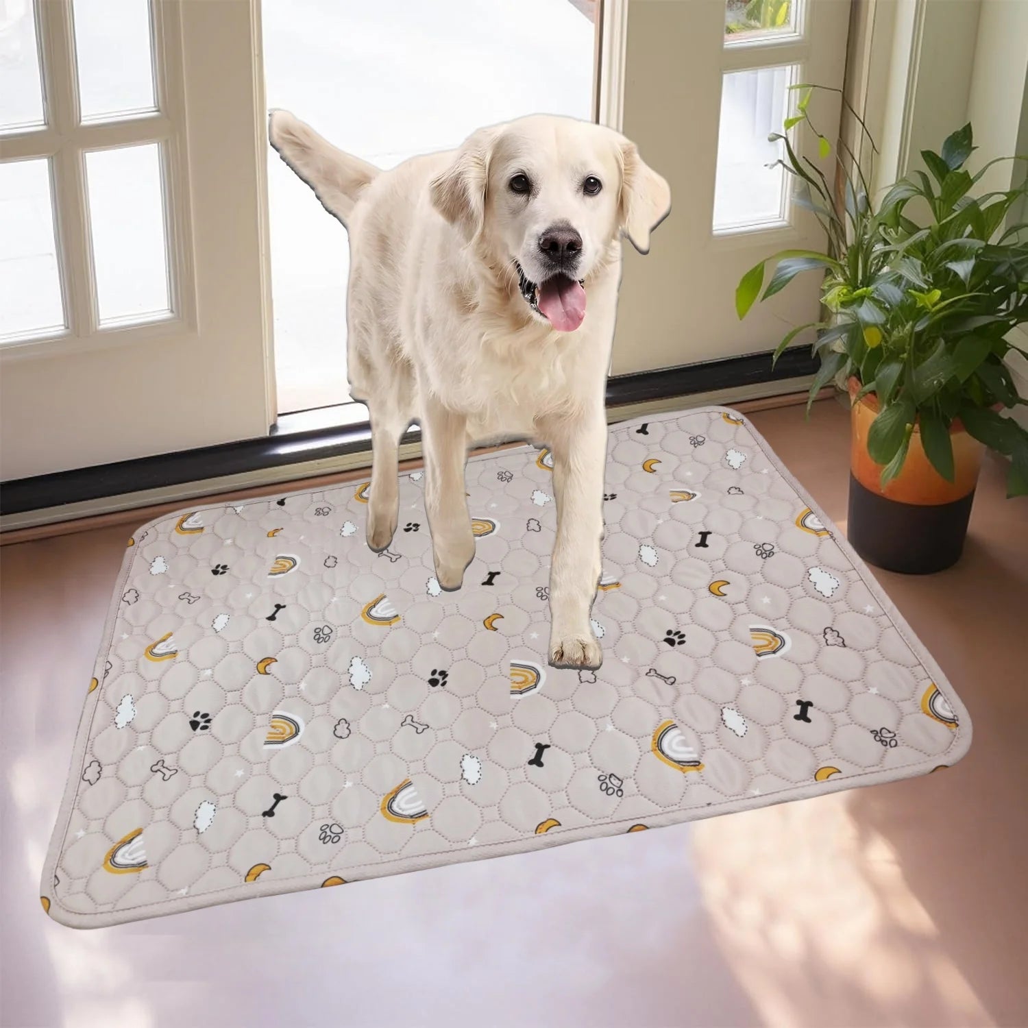 Washable & Reusable Dog Pee Pad - Pawsitive Cuddles