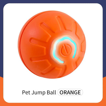 USB Rechargeable Interactive Bouncing Ball - Pawsitive Cuddles