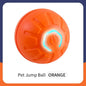 USB Rechargeable Interactive Bouncing Ball - Pawsitive Cuddles