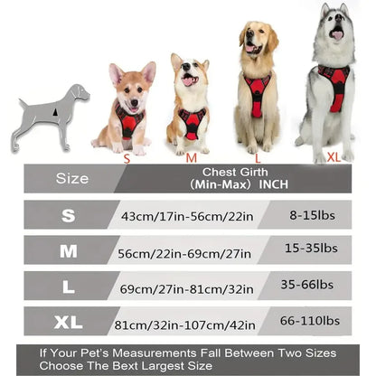 Dog Collar, Harness & Leash Set - Pawsitive Cuddles