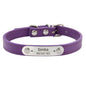 Personalized Dog Collar Name Carved ID - Pawsitive Cuddles