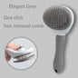 Pet Hair Brush And Hair Remover - Pawsitive Cuddles