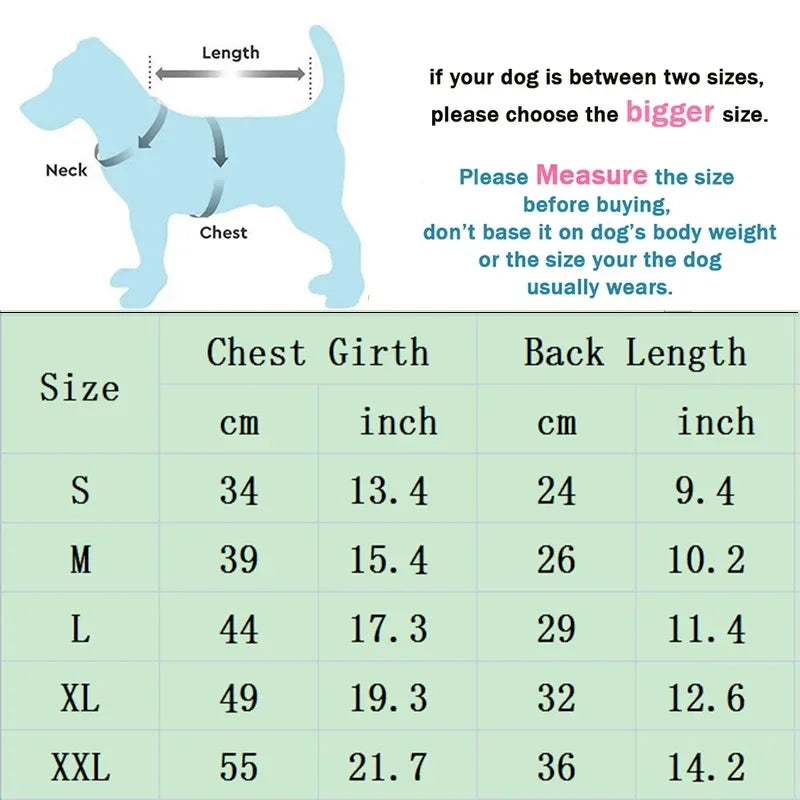 Casual Clothing for Small & Large Dogs and Cats - Pawsitive Cuddles