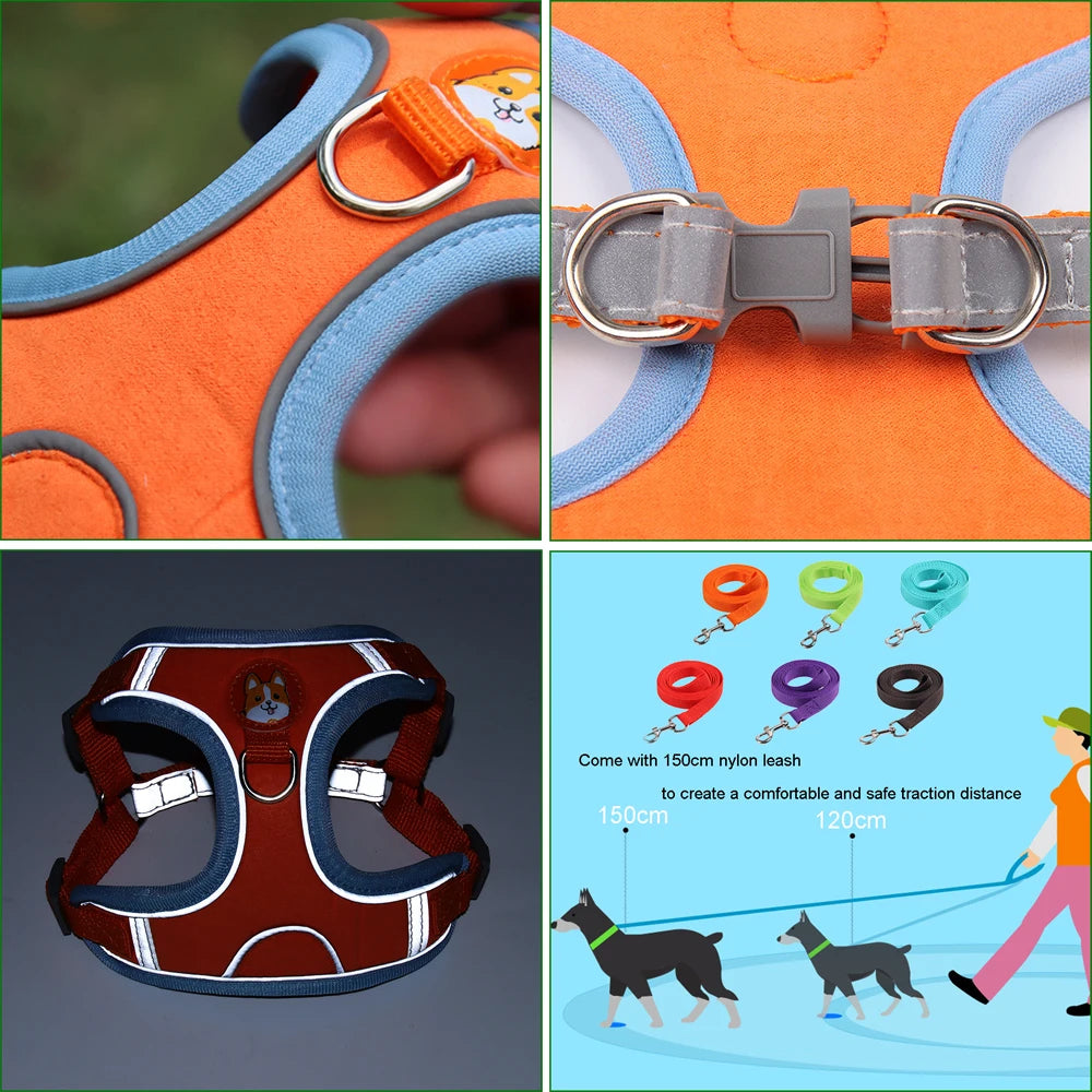 No-Pull Pet Dog Harness & Leash Set - Pawsitive Cuddles