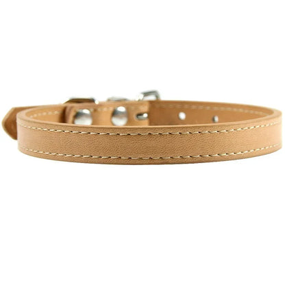 Colorful Leather Puppy & Cat Collar - Pawsitive Cuddles