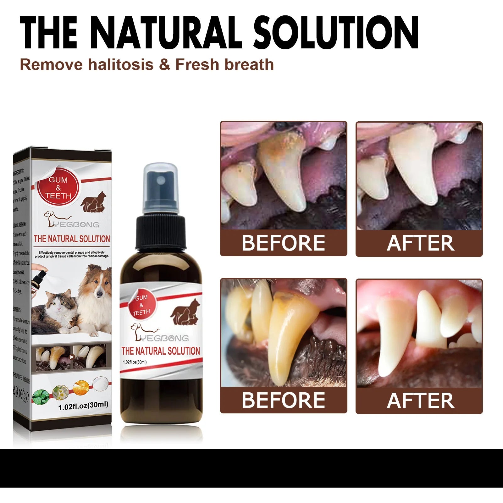 Dental Cleaning & Tartar Removal for Dogs - Pawsitive Cuddles
