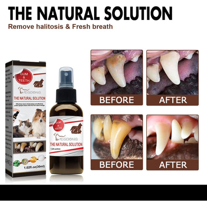 Dental Cleaning & Tartar Removal for Dogs - Pawsitive Cuddles