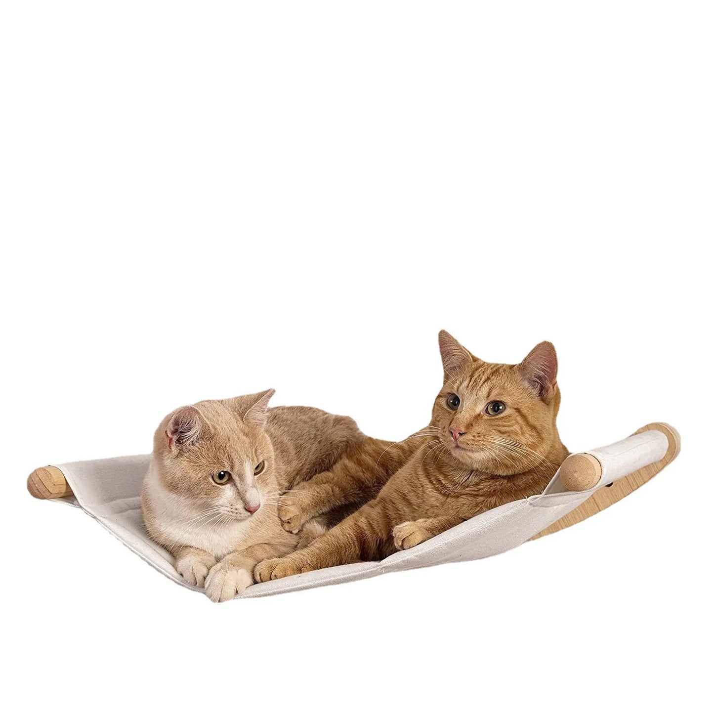 Climbing Wall Bed Nest with Cat Steps - Pawsitive Cuddles