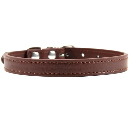 Colorful Leather Puppy & Cat Collar - Pawsitive Cuddles