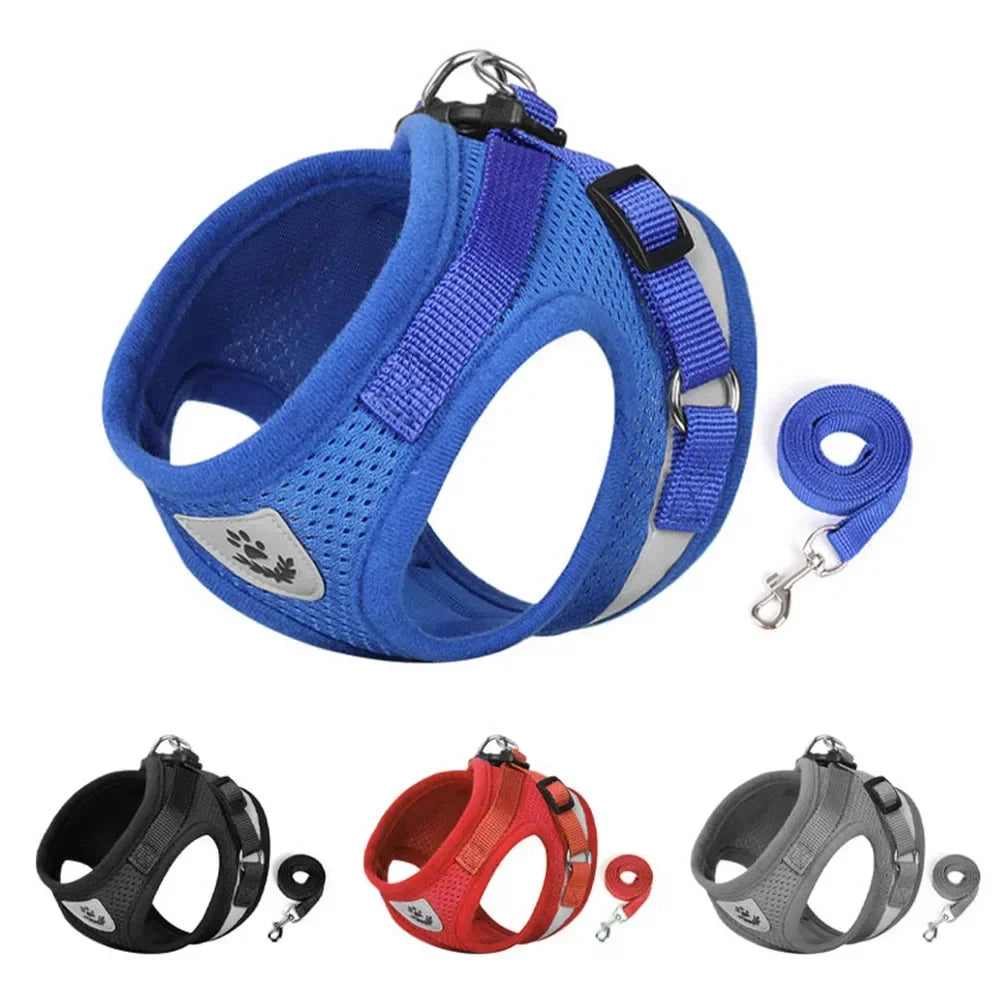 Escape-Proof Mesh Vest for Cats & Small Dogs – Soft Pet Harness with Lead - Pawsitive Cuddles