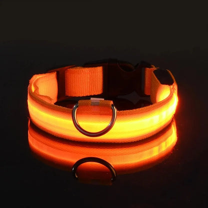 Nylon LED Night Safety Flashing Glow In The Dark Dog Leash Dogs Luminous Fluorescent Pet Dog Collar - Click Mart