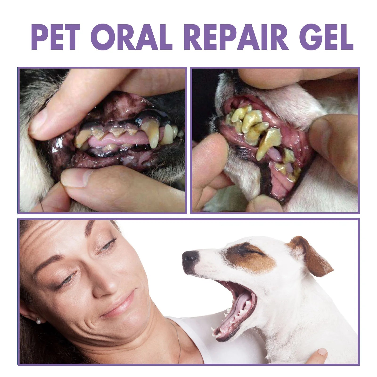 Pet Oral Repair Gel Tartar Removal Odor Eliminator - Pawsitive Cuddles