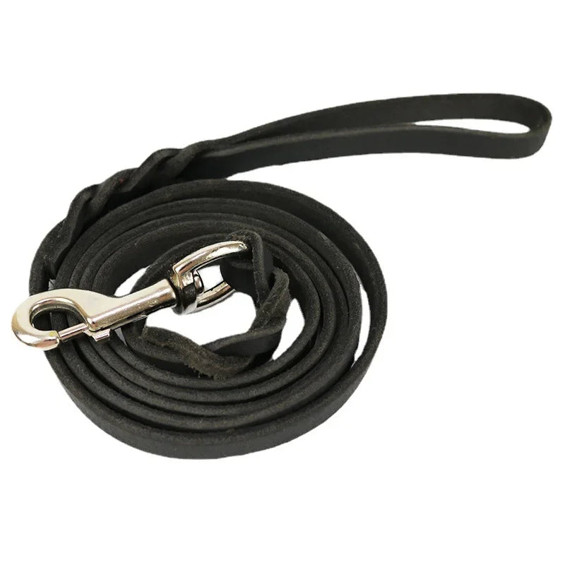 Braided Long Lead for Medium & Large Dogs - Pawsitive Cuddles