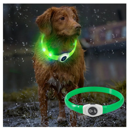 Led Luminous Dog Collar PVC Waterproof - Pawsitive Cuddles